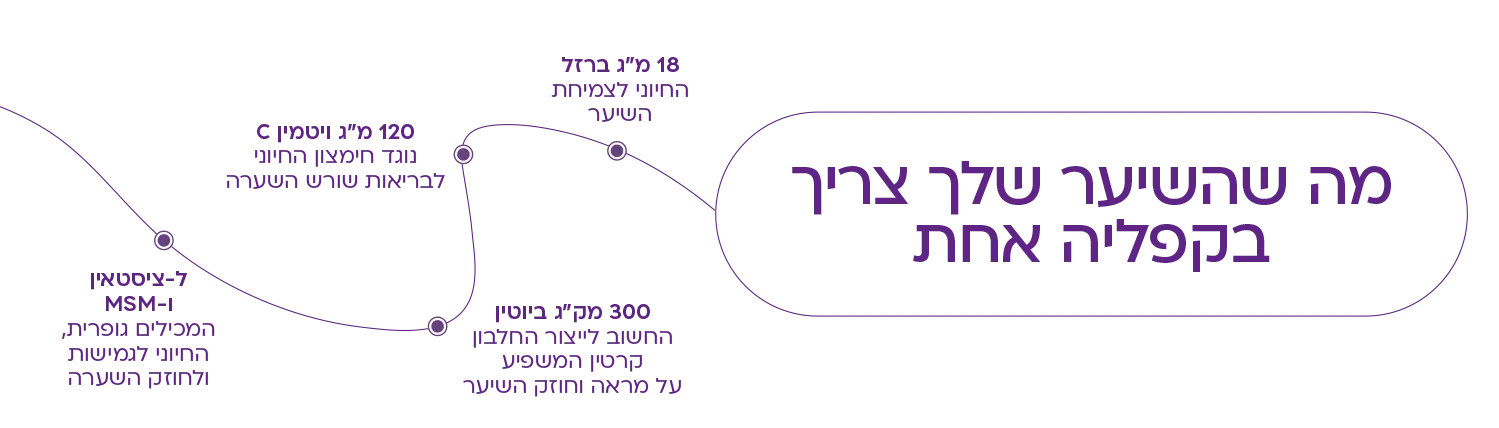 רוטס HR