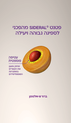 ברזל סידרל