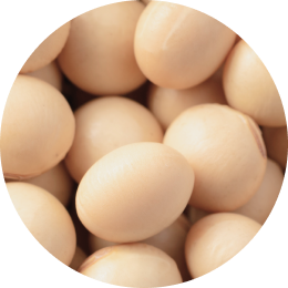 בטא סיטוסטרול