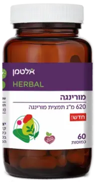 מורינגה