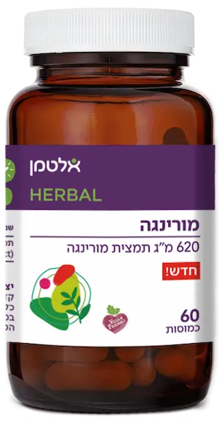 מורינגה