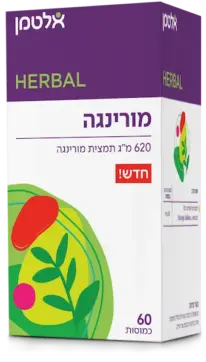 מורינגה